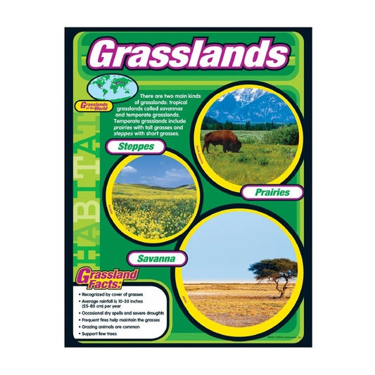 Poster Learning Grasslands