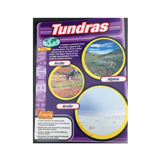 Poster Learning Tundras