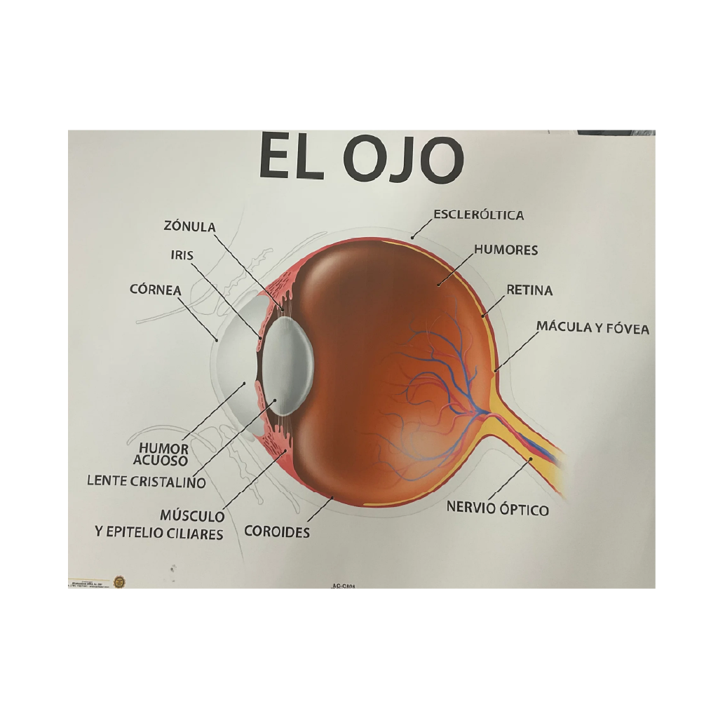 Poster El Ojo