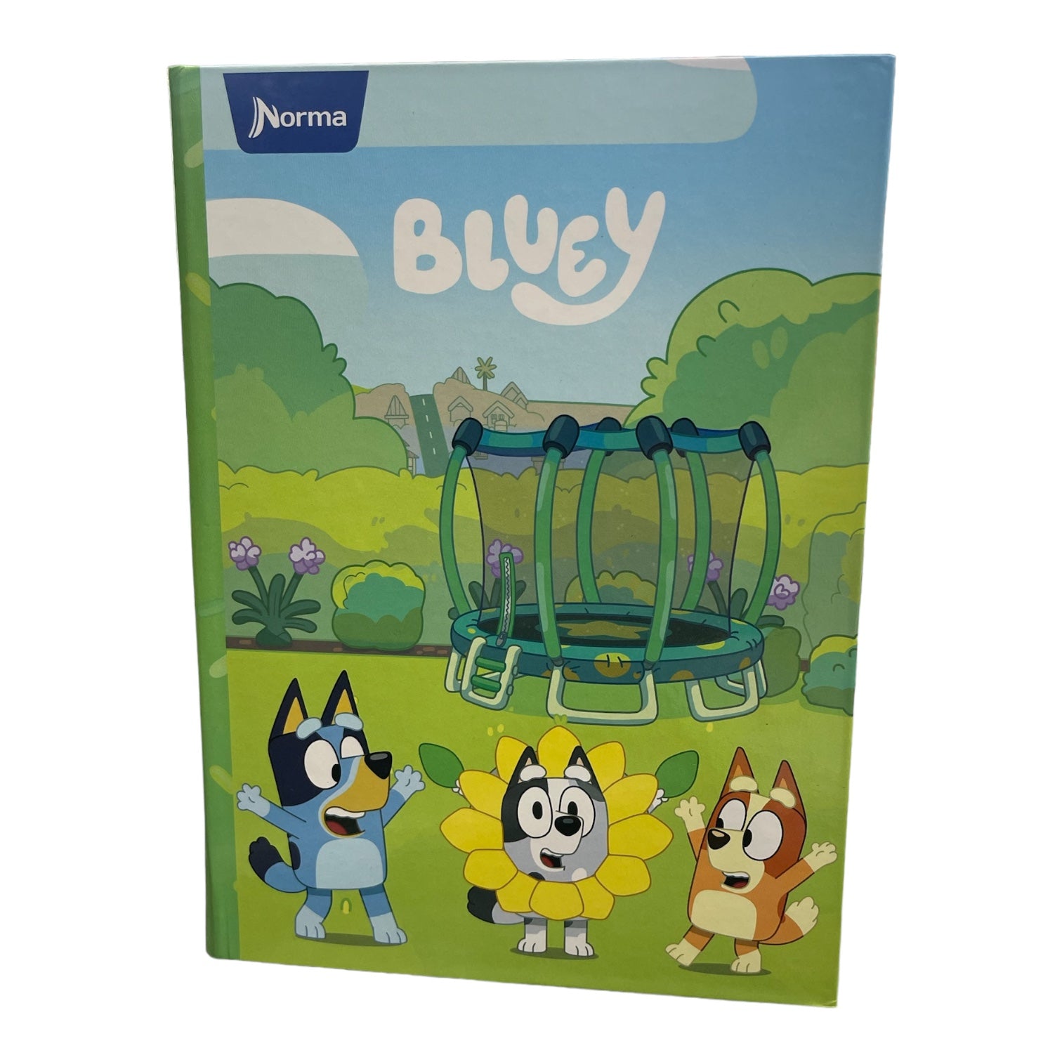 Dura Book Bluey – Humacao School Supply