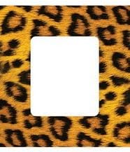 Classic Accents Leopard Frame