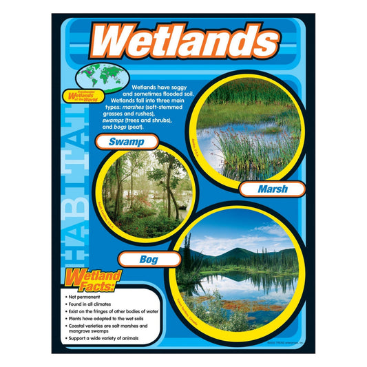 Poster Learning Wetlands