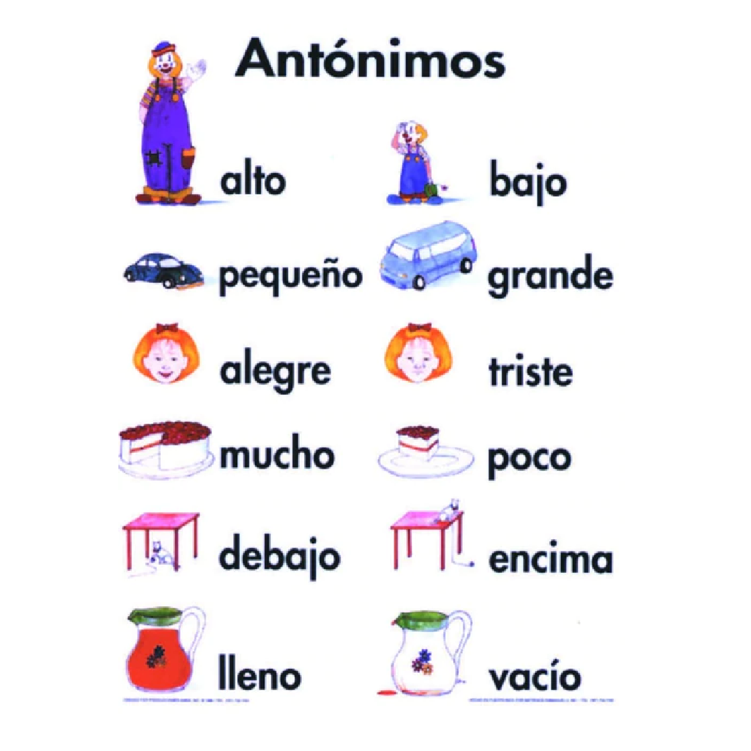 Antónimos – Humacao School Supply