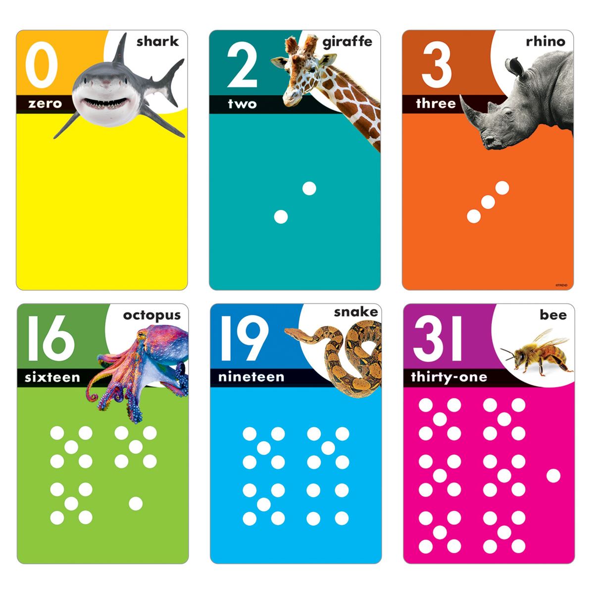 BBS Animals Count 0-31 [32 pcs]